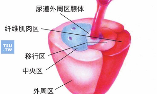 排毒养颜胶囊用法网-分享排毒养颜胶囊用法用量疗程，排毒养颜胶囊知识库